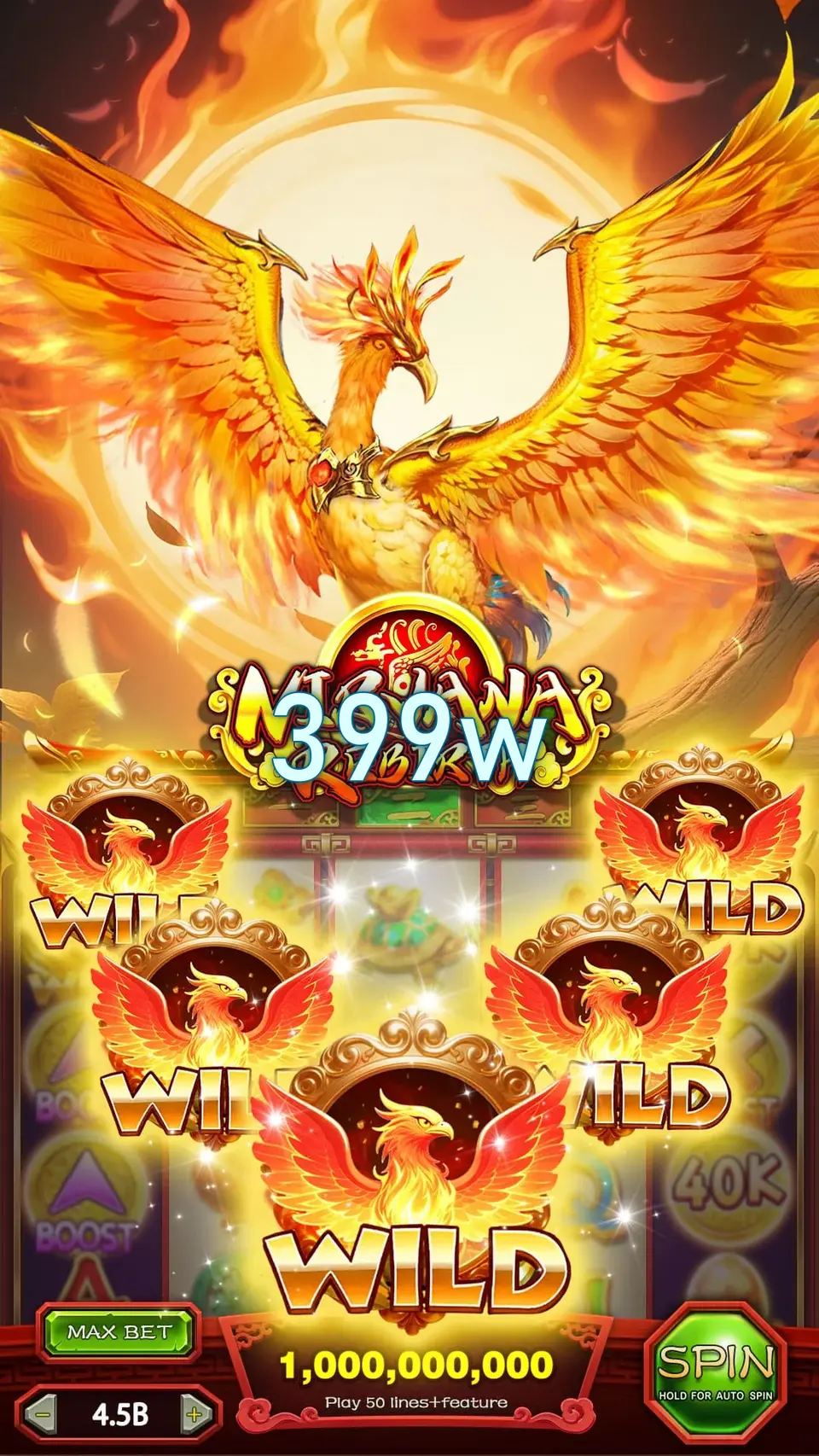 399w Login